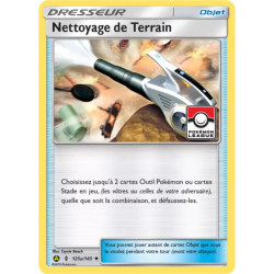 Nettoyage de Terrain GRI - 145a/145