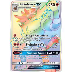 Félinferno GX GRI - 147/145