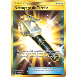 Nettoyage de Terrain GRI - 163/145