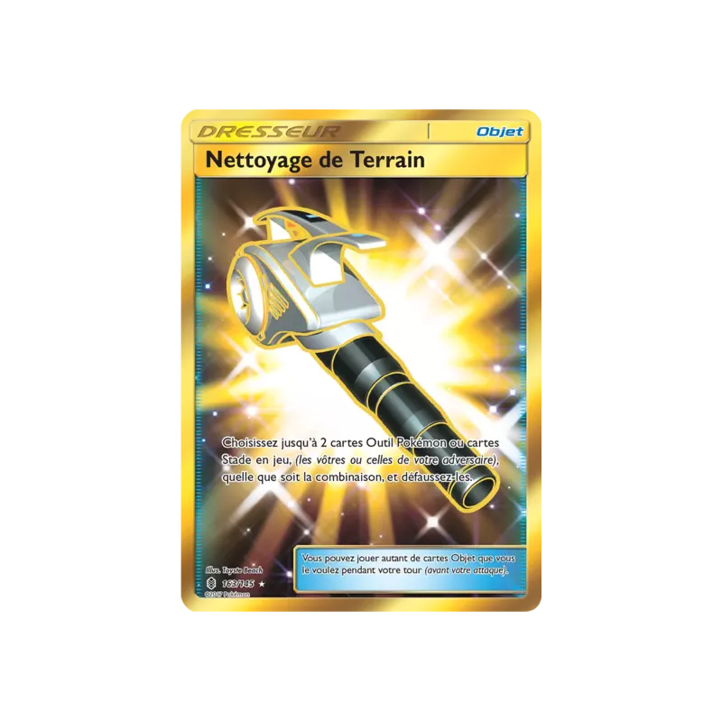 Nettoyage de Terrain GRI - 163/145