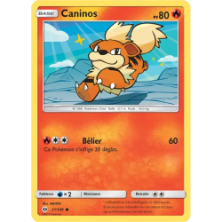 Caninos SUM - 021/149