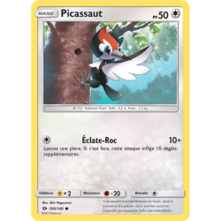 Picassaut SUM - 106/149
