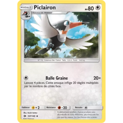 Piclairon SUM - 107/149