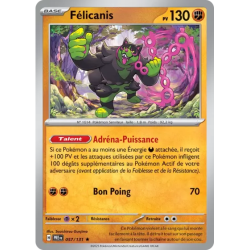 Félicanis PRE - 057/131