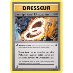 Lien Spirituel Dracaufeu EVO - 075/108