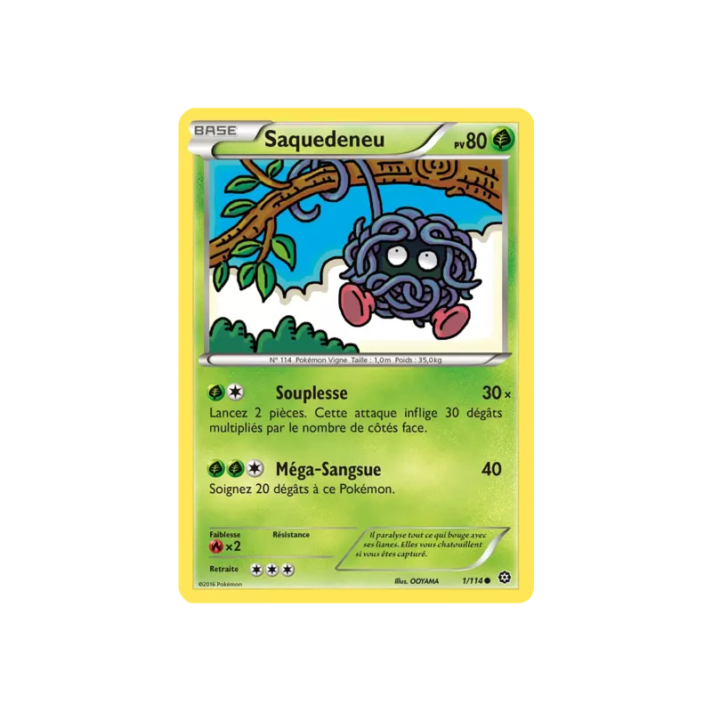 Saquedeneu STS - 001/114