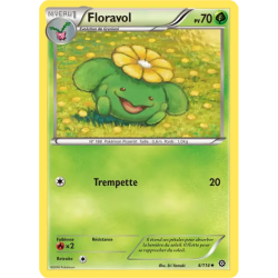 Floravol STS - 004/114
