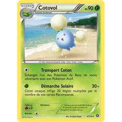 Cotovol STS - 005/114