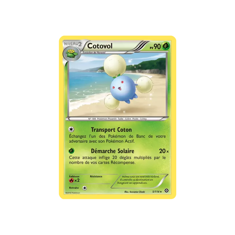 Cotovol STS - 005/114