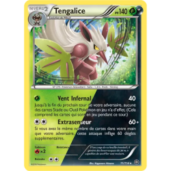 Tengalice STS - 011/114