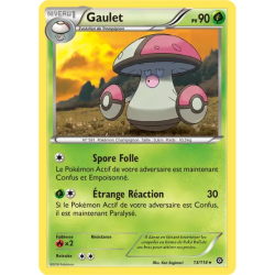 Gaulet STS - 013/114