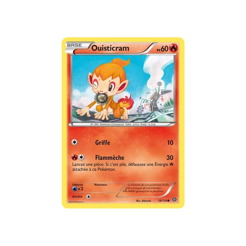 Ouisticram STS - 018/114