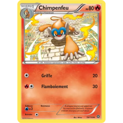 Chimpenfeu STS - 019/114