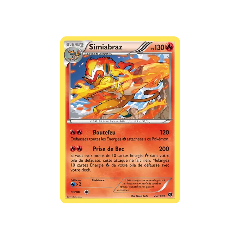 Simiabraz STS - 020/114
