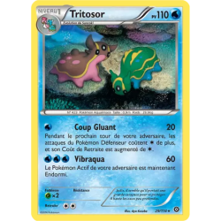 Tritosor STS - 029/114