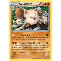 Colossinge STS - 053/114