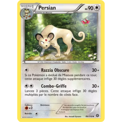 Persian STS - 089/114