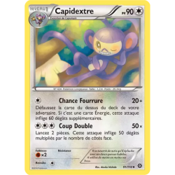 Capidextre STS - 091/114