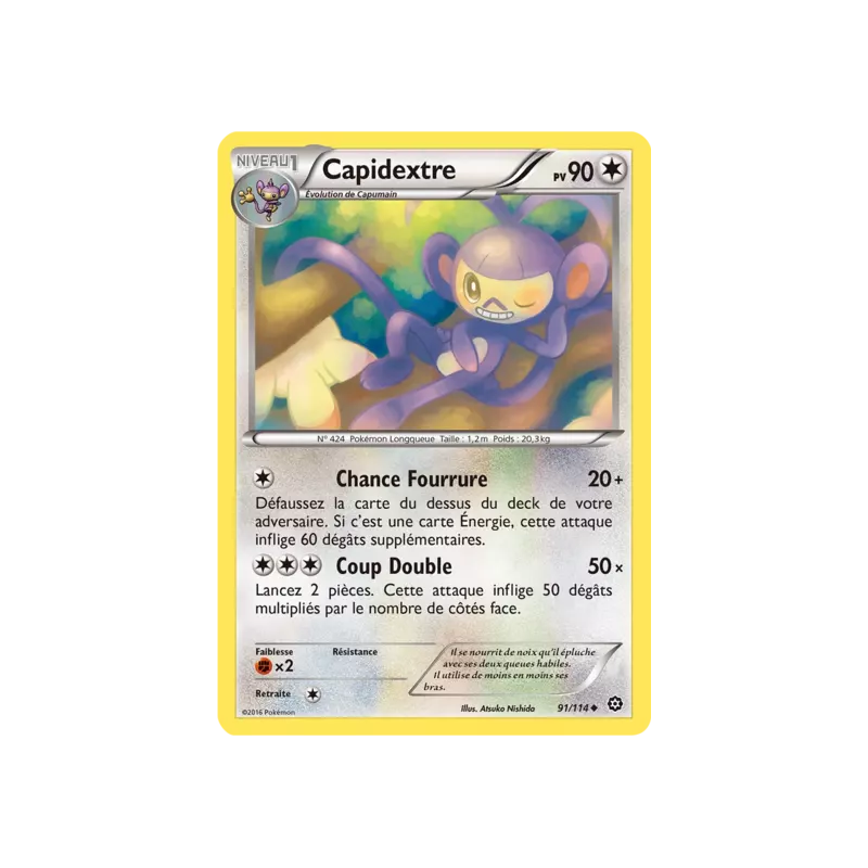 Capidextre STS - 091/114