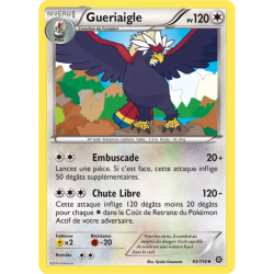 Gueriaigle STS - 093/114