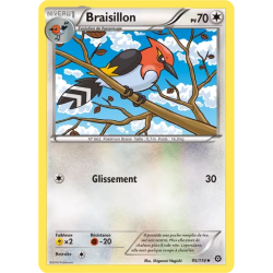 Braisillon STS - 095/114