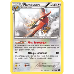 Flambusard STS - 096/114