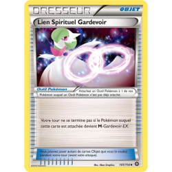 Lien Spirituel Gardevoir STS - 101/114