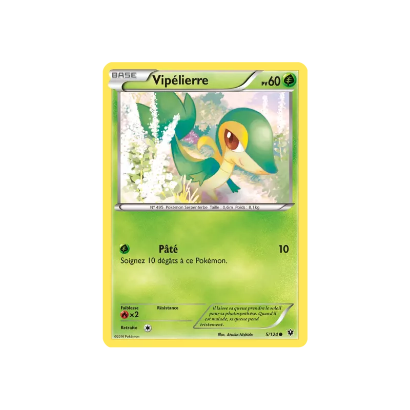 Vipélierre FCO - 005/124