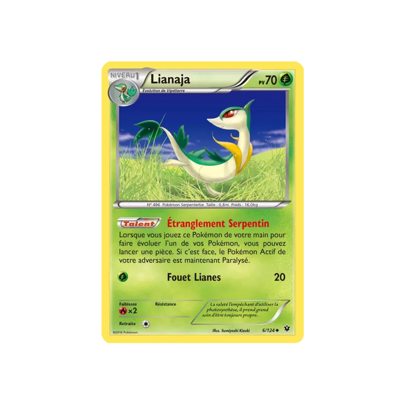 Lianaja FCO - 006/124