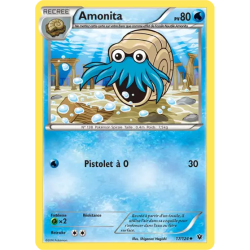 Amonita FCO - 017/124