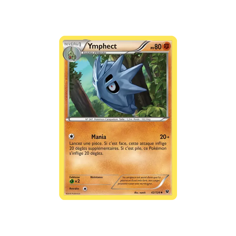 Ymphect FCO - 042/124