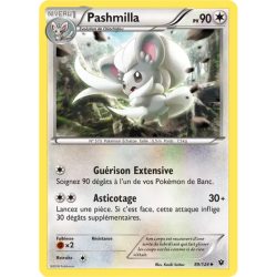 Pashmilla FCO - 089/124