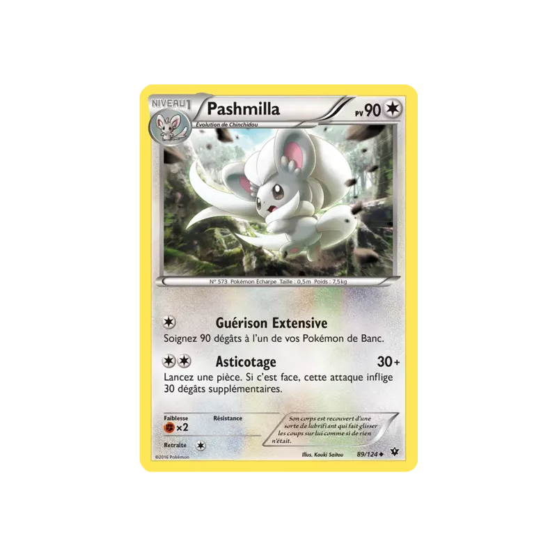 Pashmilla FCO - 089/124