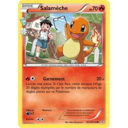 Salamèche GEN - RC03/RC32