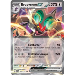 Bruyverne EX PRE - 091/131