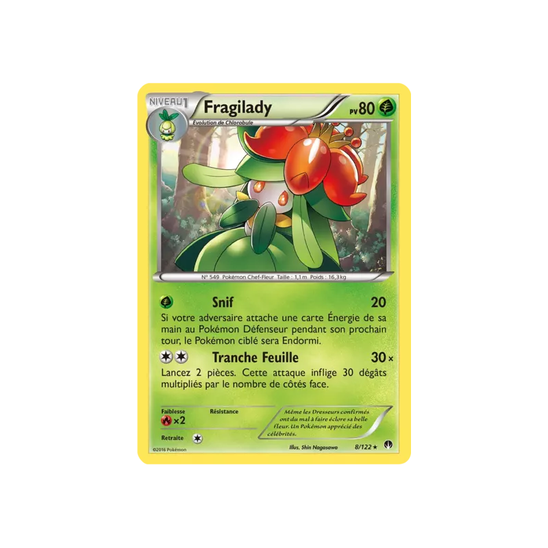 Fragilady BKP - 008/122