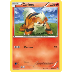 Caninos BKP - 010/122