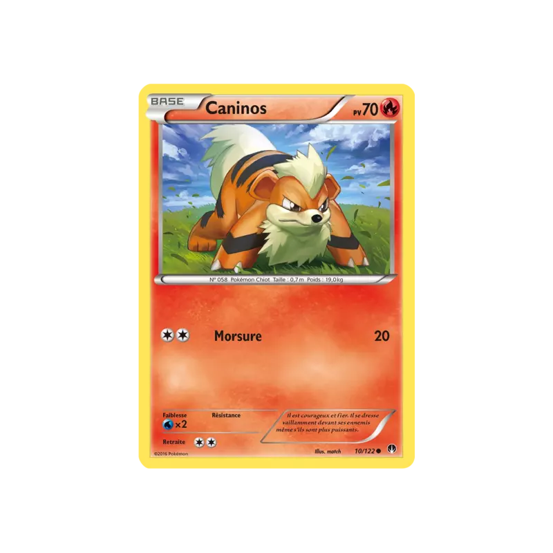 Caninos BKP - 010/122