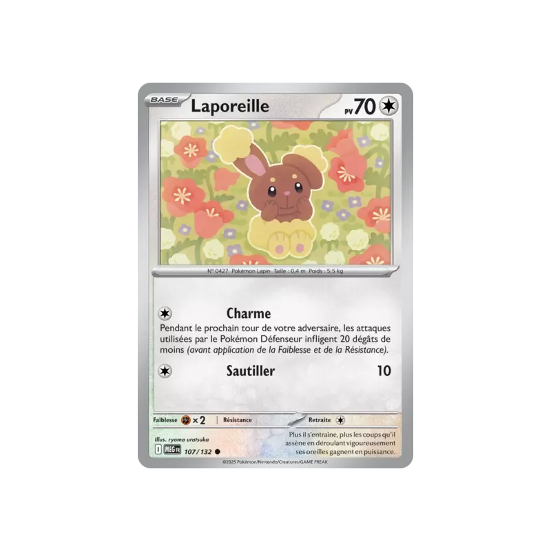 Laporeille MEG - 107/132