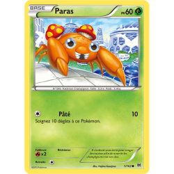 Paras BKT - 001/162