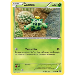 Cacnea BKT - 004/162