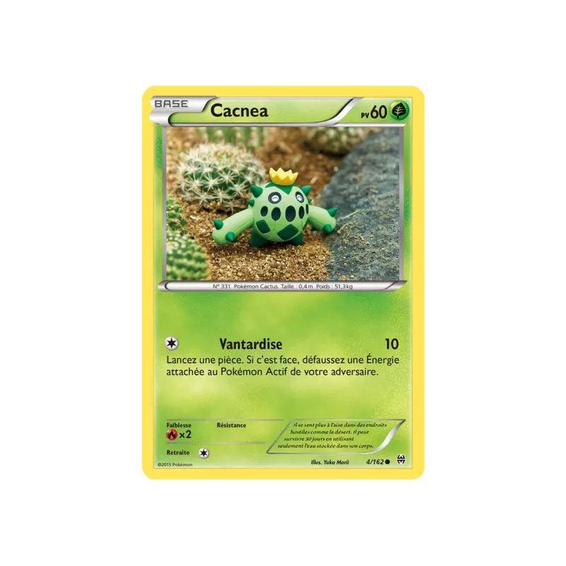 Cacnea BKT - 004/162