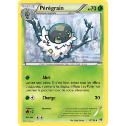 Pérégrain BKT - 014/162