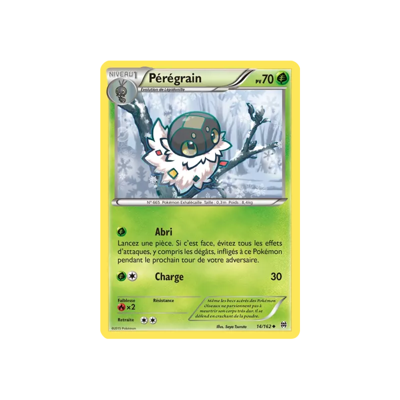 Pérégrain BKT - 014/162