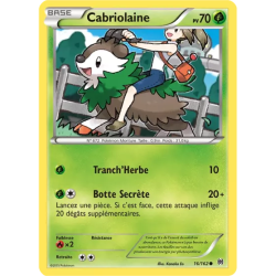 Cabriolaine BKT - 016/162