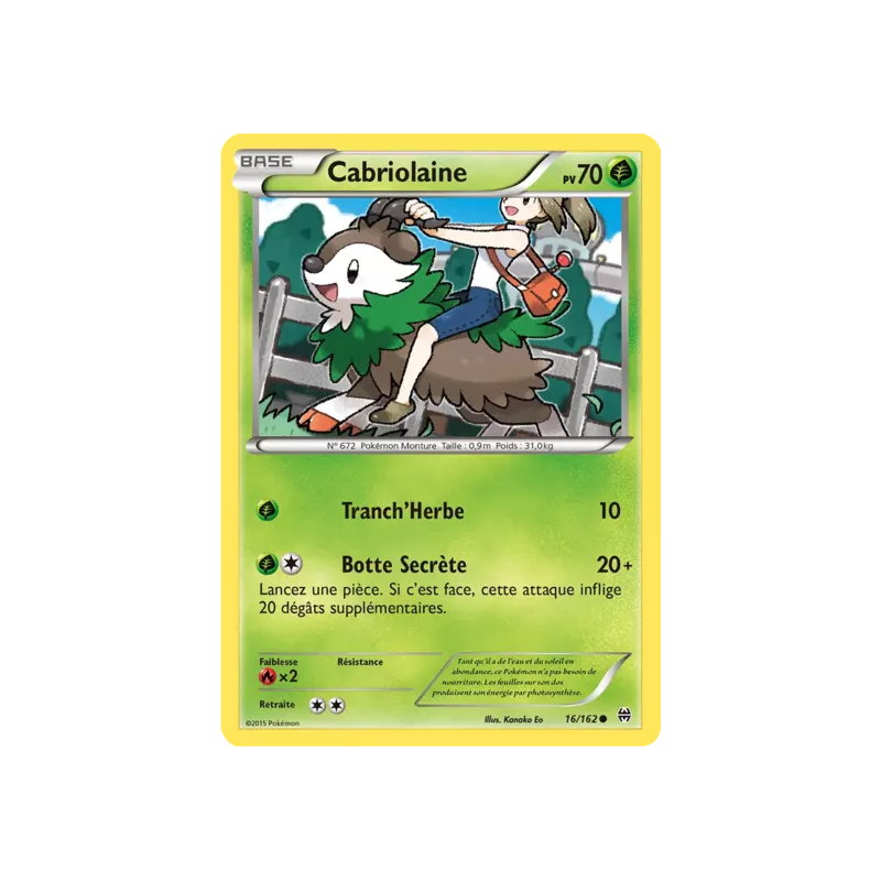 Cabriolaine BKT - 016/162