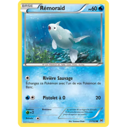 Rémoraid BKT - 031/162
