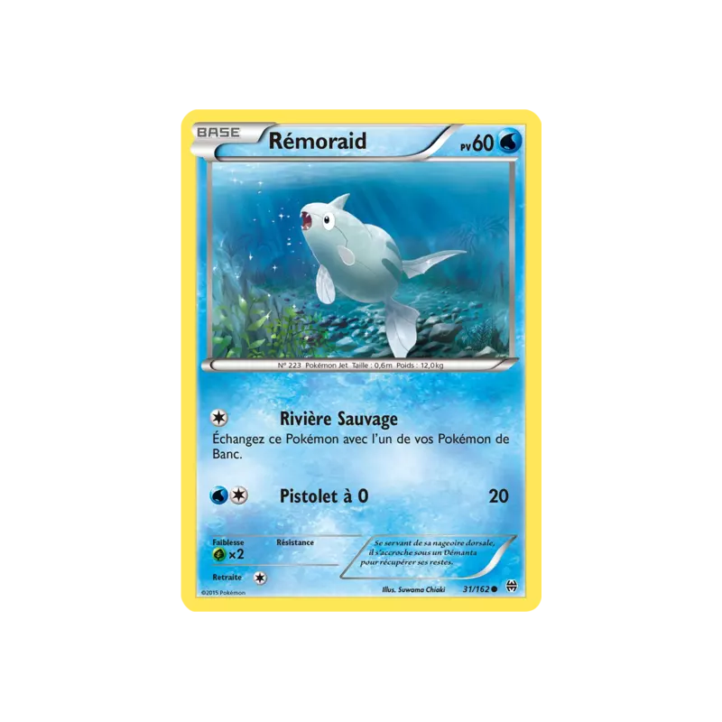 Rémoraid BKT - 031/162