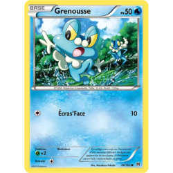 Grenousse BKT - 046/162