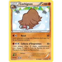 Cochignon BKT - 081/162